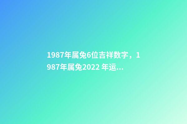 1987年属兔6位吉祥数字，1987年属兔2022 年运势 87年属兔2022运势，2022年属兔运势女性-第1张-观点-玄机派